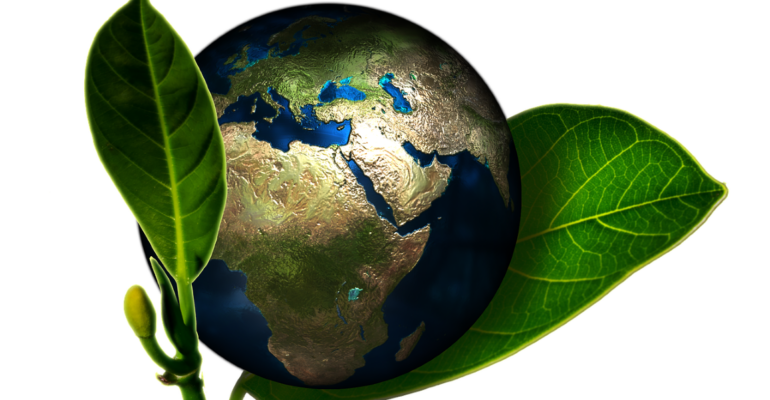 Reinventing polythene with Jute Polymer: A radical approach to the plastic problem